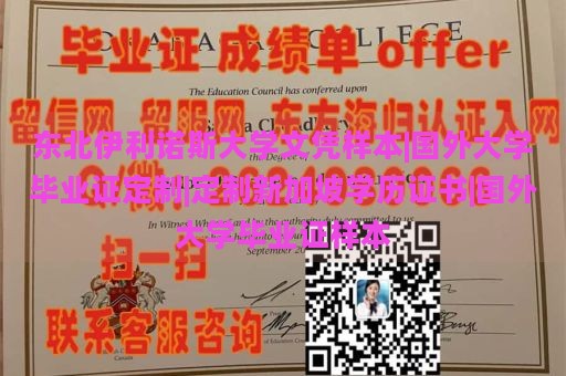 东北伊利诺斯大学文凭样本|国外大学毕业证定制|定制新加坡学历证书|国外大学毕业证样本