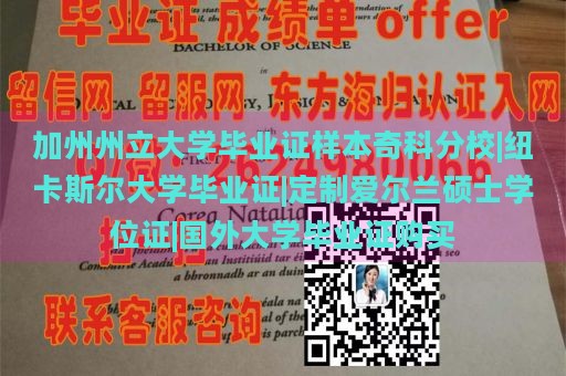 加州州立大学毕业证样本奇科分校|纽卡斯尔大学毕业证|定制爱尔兰硕士学位证|国外大学毕业证购买